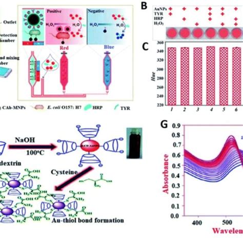 Smartphone Based Gnp Optical Biosensor For Colorimetric Assays For E