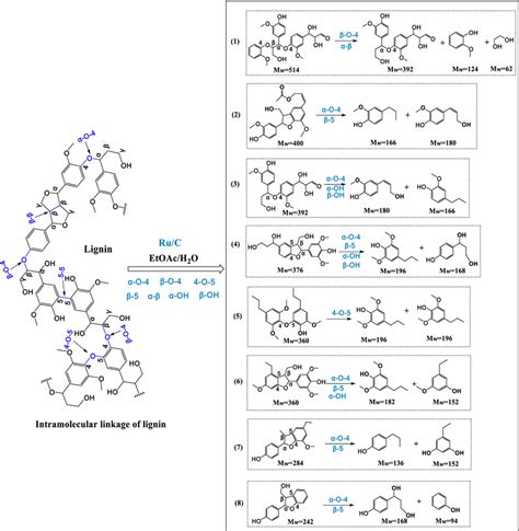 The Proposed Pathway Of The Cleavage Of Intramolecular Linkage In Download Scientific Diagram