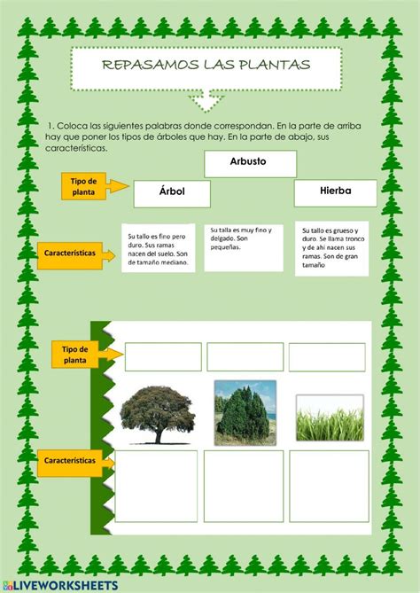 Repaso Tema Plantas Worksheet