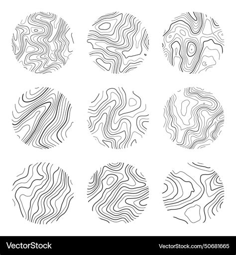 Topographic map with contour lines geographic Vector Image