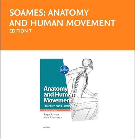 Anatomy And Human Movement Structure And Function By Nigel Palastanga