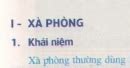 Lý thuyết về khái niệm xà phòng và chất giặt rửa tổng hợp Hóa Học