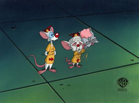 Warner Bros Studio Artists Pinky And The Brain Original Cel On