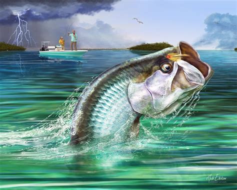 Tarpon fly fishing art print by Florida marine life artist, Mark Erickson