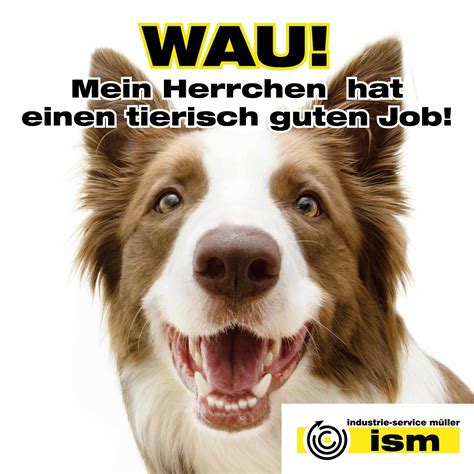 Wie Viel Mensch Braucht Ein Hund Tierisch Menschl 5