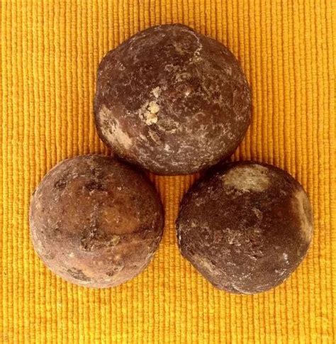 Refined Round Palm Jaggery Organic At Best Price In Erode Id