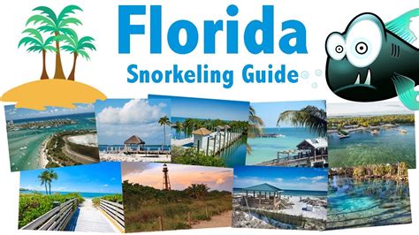 Our Top 9 Snorkel Spots In Florida Beaches Reefs Marine Life YouTube