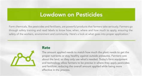 Lowdown on Pesticides and Fertilizers — Hungry For Truth