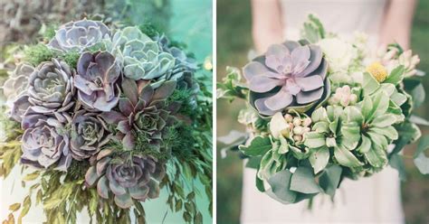 Succulents For Weddings Sublime Succulents