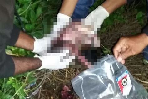 Polisi Kesulitan Ungkap Pembuang Bayi Di Sungai Ini Jawa Pos