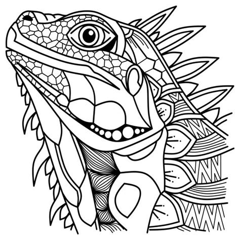 390 Drawing Of The Green Iguanas Ilustraciones De Stock Gráficos