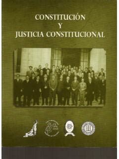 Los Principios Constitucionales De Eficacia Eficiencia Los