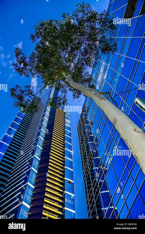 Eureka Tower And Other Magnificent Glass Skyscrapers Tower Above In