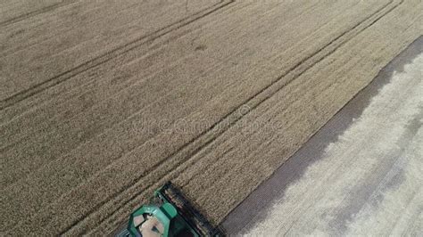 4k Aerial View Video Combine Harvester Harvesting On The Field Stock