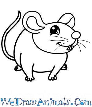 How to Draw a Cartoon Mouse