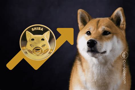 Shiba Inu SHIB Flips FTX FTT Token To Become Largest Token Held By