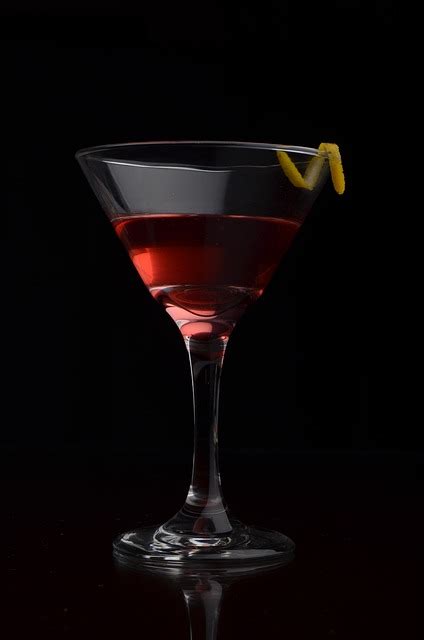 martini alcohol cocktail  photo  pixabay pixabay