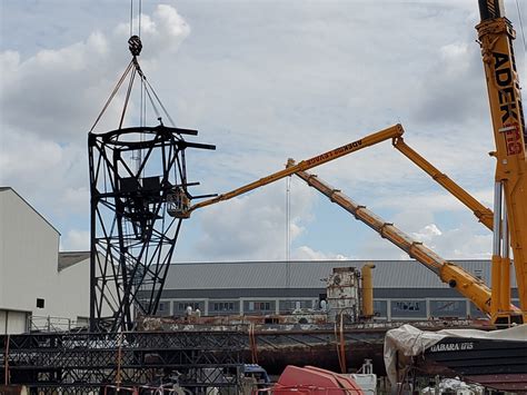 En Images Nantes La Grue Noire Retrouve Petit Petit Son Nid