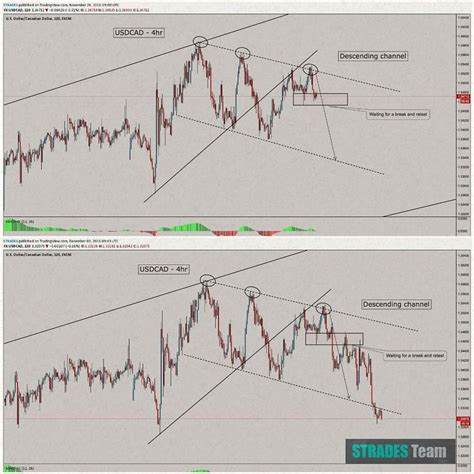 👨🏻‍💻 Apprends Le Trading Avec Nous 📈 Trading Discipline