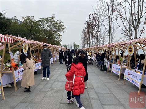 成都举行儿童友好城市建设主题宣传活动四川在线