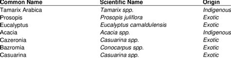 Tree species used in Saudi Arabia shelterbelts/windbreaks projects... | Download Scientific Diagram