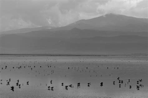 Lago De Sayula Gwyns Blog