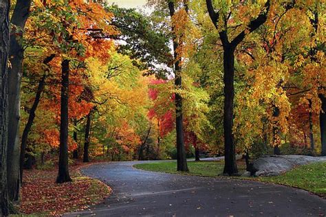 Autumn Landscape Botanical Gardens Acrylic Prints Picturesque Paths