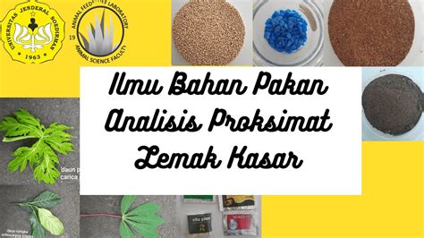 Praktikum Ilmu Bahan Pakan Analisis Proksimat Lemak Kasar Youtube