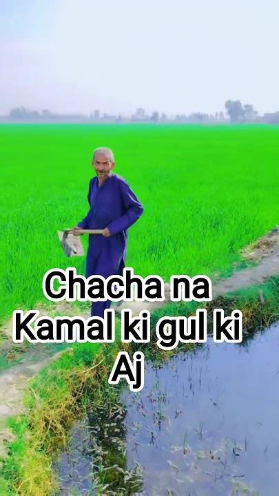 chacha na aj kamal ki gul ki youtube