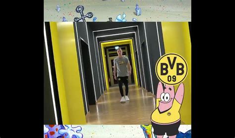 Borussia Dortmund Spongebob Fankollektion Sorgt F R Diskussionen Wie