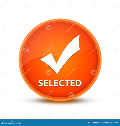 Selected Icon Isolated On Orange Round Button Abstract Button Abstract