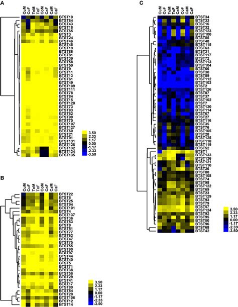 Frontiers Genome Wide Characterization And Expression Profiling Of