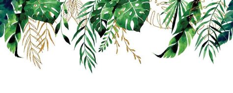 Tropical Leaves Border Vector Art, Icons, and Graphics for Free Download