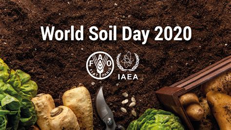 World Soil Day Iaea Fao Lay The Groundwork To Keep Soil Alive