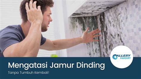 Cara Menghilangkan Jamur Dinding Tanpa Tumbuh Kembali