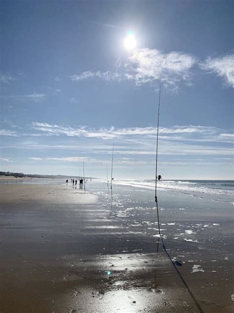 Fishing rods on the beach stock image. Image of rods - 166572641