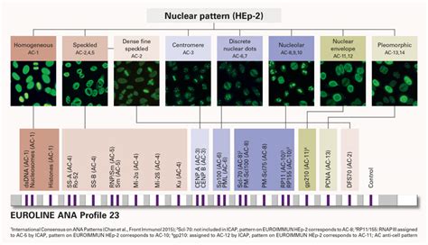 Lab Series 16 Anti Nuclear Antibodies