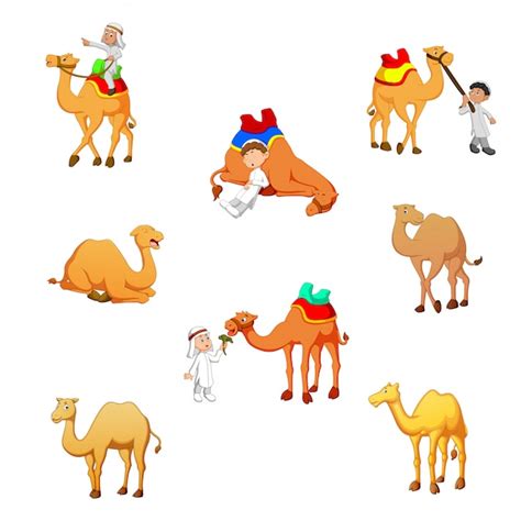 Premium Vector Cartoon Camel Vector Illustration