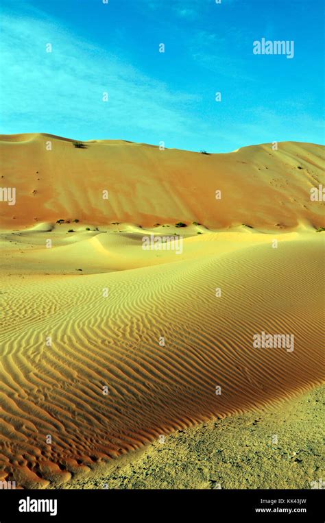 Wind-formed patterns in this collection of sand in the Arabian Desert ...