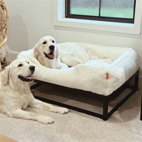 A Guide to Dog Beds for Large Dogs | Choosing Dog Beds for Large Dogs ...