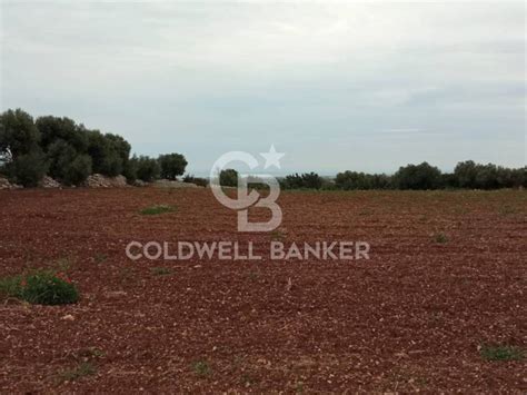 Terreno Agricolo Strada Comunale Fondo Delle Rose Polignano A Mare