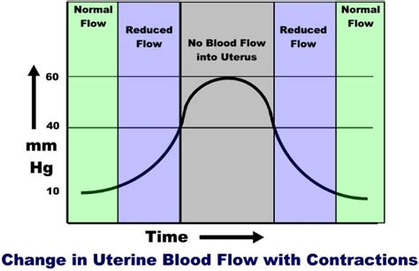 Electronic Fetal Heart Monitoring