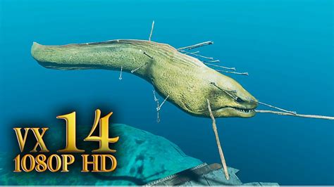 Stranded Deep Ps4 Eel Boss Fight Gameplay Walkthrough Ep14 Youtube