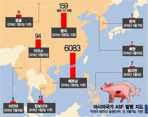 中 세계 고기 싹쓸이8월 돼지고기 수입 80 급증 네이트 뉴스