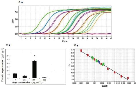 Real Time Pcr And Plasmid Copy Number Estimation As Shown The Plasmid