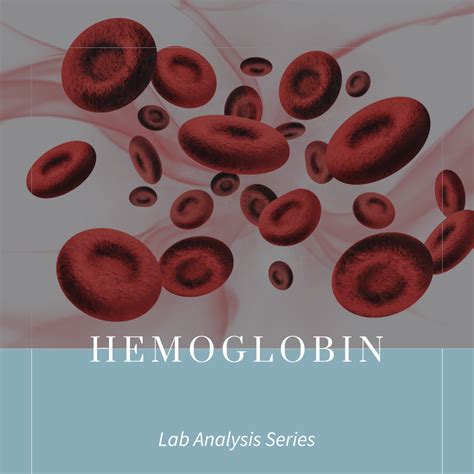 Hemoglobin: What Highs and Lows Mean in Pregnancy - SARAH THOMPSON ...