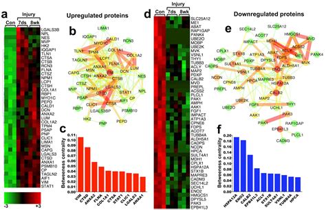 Ijms Free Full Text Combined Transcriptomics Proteomics And