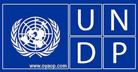 Undp Programme Intern Associate Volunteer Solutions Oya Opportunities