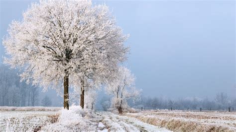 La Neige Est De Retour En Belgique Quelles Sont Les Derni Res