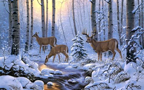 Deer In Snow Wallpapers - Wallpaper Cave